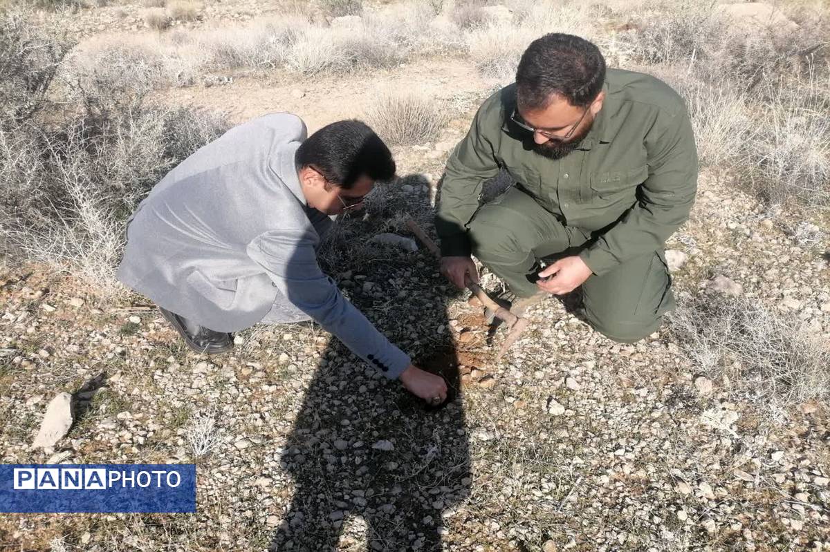 باهمت سبز، آبی شود آسمان شهرمان 