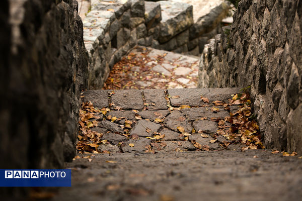 پاییز خیال انگیز در پارک جمشیدیه