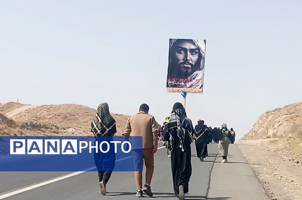 گام هایی از جنس عشق به امام رضا (ع)