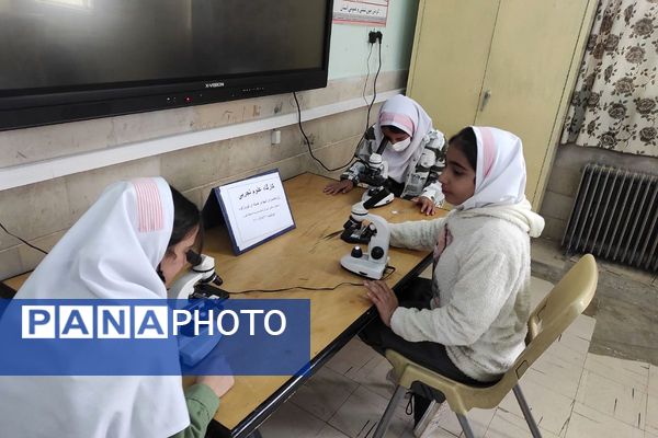 شکوفایی علم در پژوهش‌سرای شهدای هسته‌ای فیروزکوه