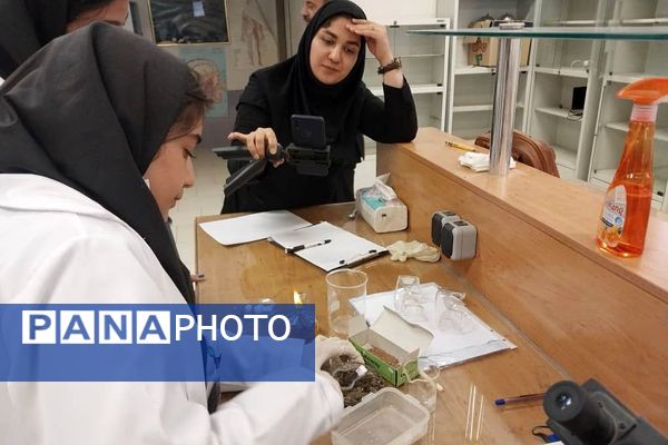 برگزاری مرحله استانی محور علوم آزمایشگاهی به صورت غیرحضوری در ملارد با حضور ۶ تیم برتر