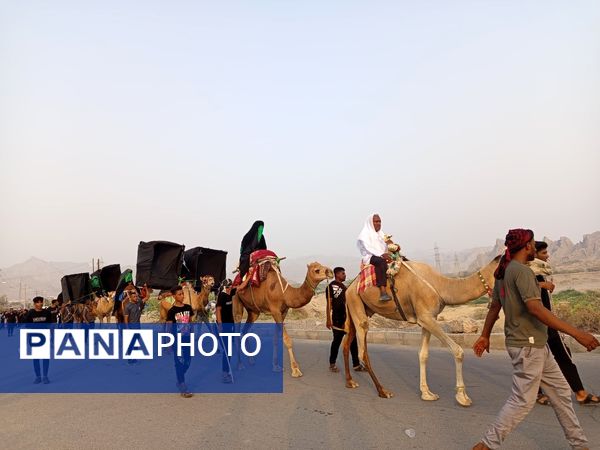 آیین باشکوه کاروان شام تا کربلا در میناب
