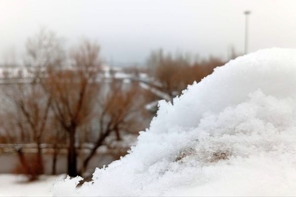 گرداب بن زیر چتر سپید برف