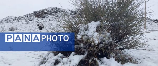 رقص دانه‌های برف در آسمان خاتم؛ شور و هیجان کودکان