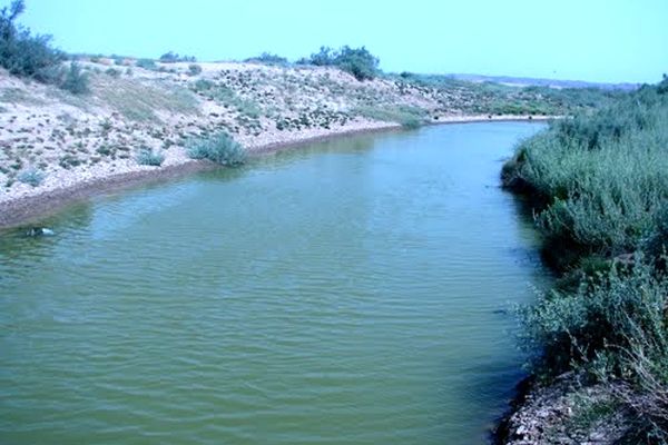 وضع بحرانی زیست محیطی رودخانه شور 