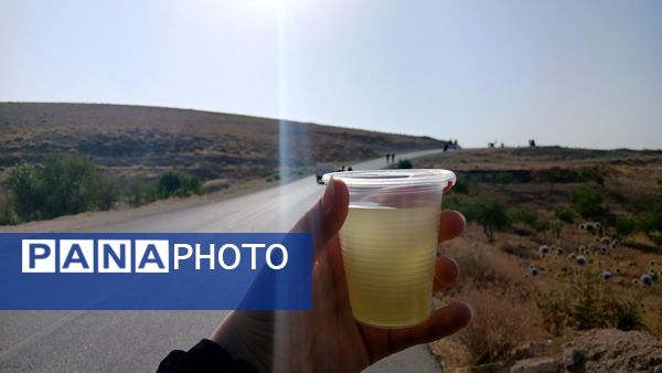 گزارشی از جاماندگان مسیر عشق