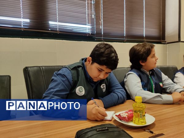 نوراوی مهر در خبرگزاری پانا، طوفانی در محتوای مجازی
