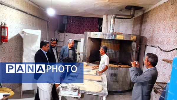 فرماندار کاشمر از وضعیت آب روستای قوژد بازدید کرد
