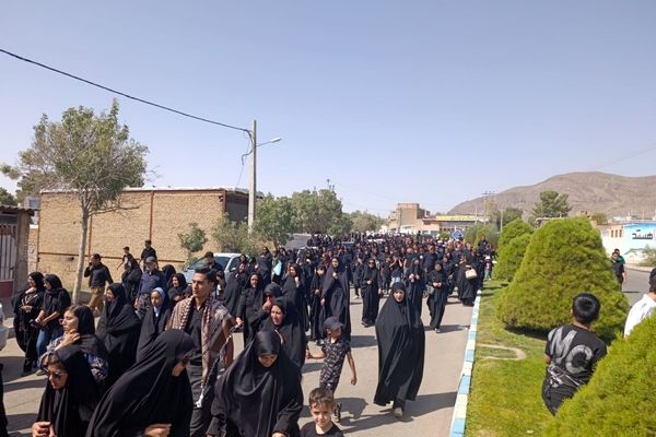 پیاده‌روی جاماندگان اربعین در تربت حیدریه 