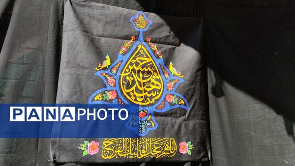 پرستو بی‌نام  در آشیانه شهر دستنا 