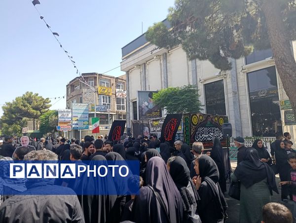 پیاده‌روی جاماندگان اربعین در تربت حیدریه 