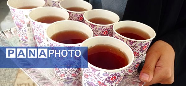 مراسم یادواره شهدای نیشابور درجوار آرامگاه فضل بن شاذان