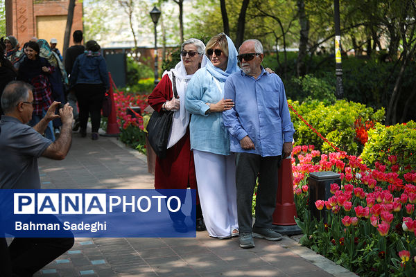 فصل لاله‌ها در بوستان باغ ایرانی