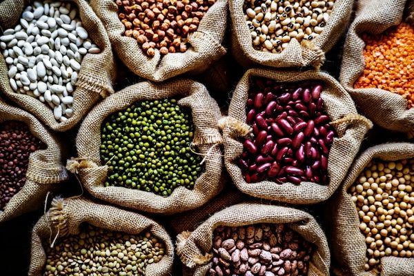 کاهش قیمت حبوبات در آستانه فصل برداشت