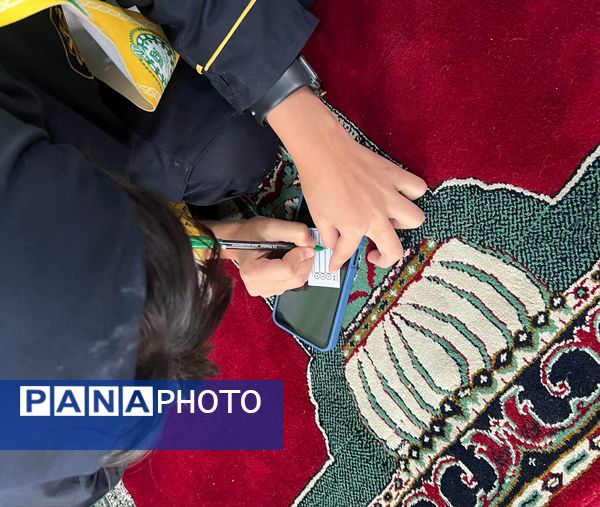 انتخابات اعضای مجمع پیشتازان سازمان دانش‌آموزی شهرستان ساوجبلاغ 