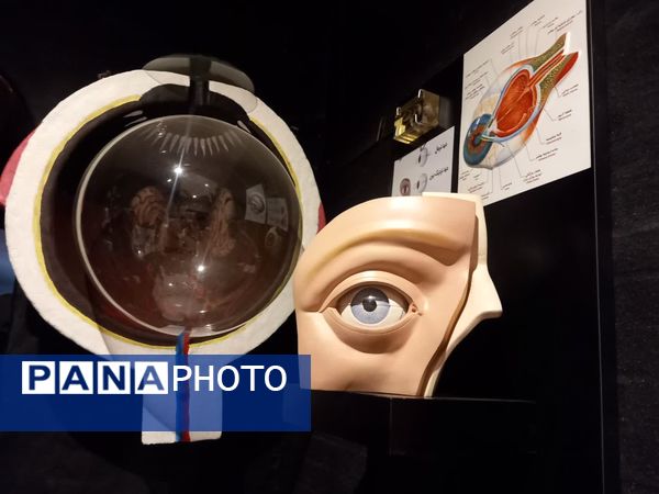 بازدید از پارک علمی تفریحی پروفسور بازیما مشهد