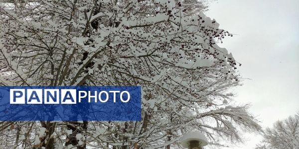 سکوت برفی بروجن، قلب شهر را به تپش انداخت