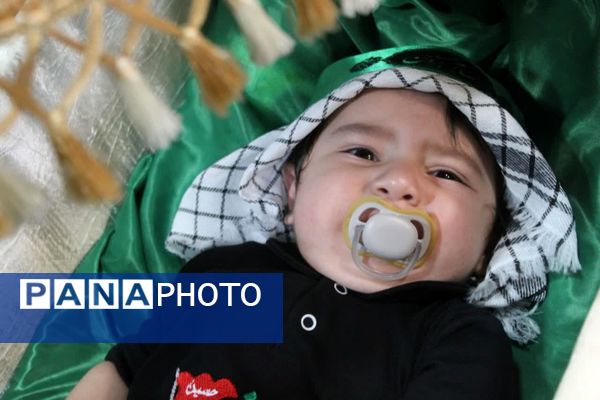 همایش شیرخوارگان حسینی در گلوگاه 