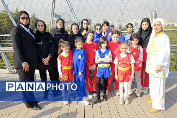 همایش بزرگ ووشو به‌مناسبت هفته تربیت‌بدنی در تهران