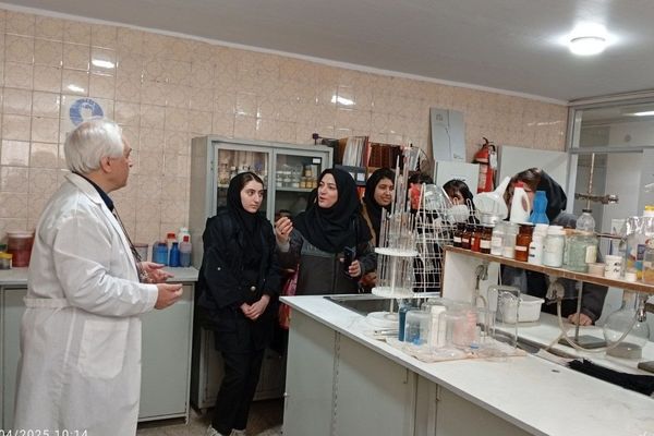 آینده شغلی تان را با انتخاب رشته مناسب بسازید؛نکات کلیدی از صنعت شوینده‌ها