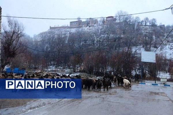 شروع اولین بارش برف زمستانی در بهمن ماه ۱۴۰۳ در شهر زیبای با‌ر