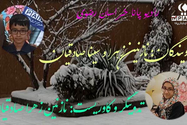 برف بی صدا می بارد