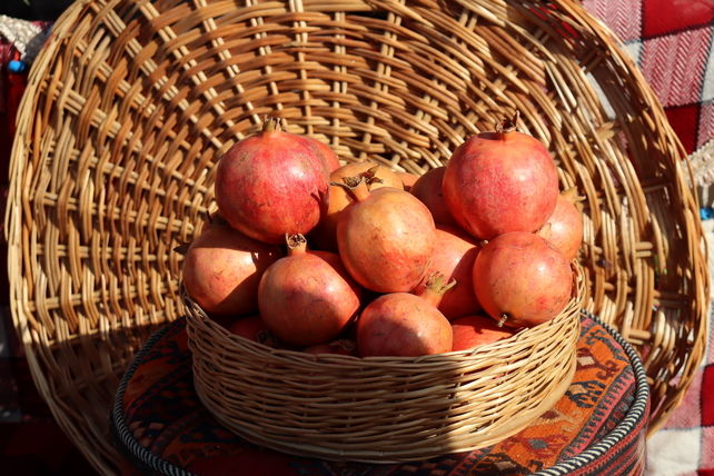 کوهدشت میزبان جشن سرخ زاگرس 