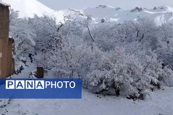 بارش برف در روستای اصقول سربیشه