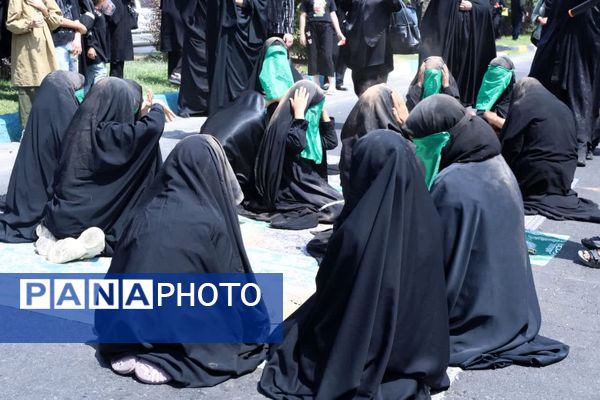 عاشقان حسینی در اربعین، از اندیشه تا کربلا