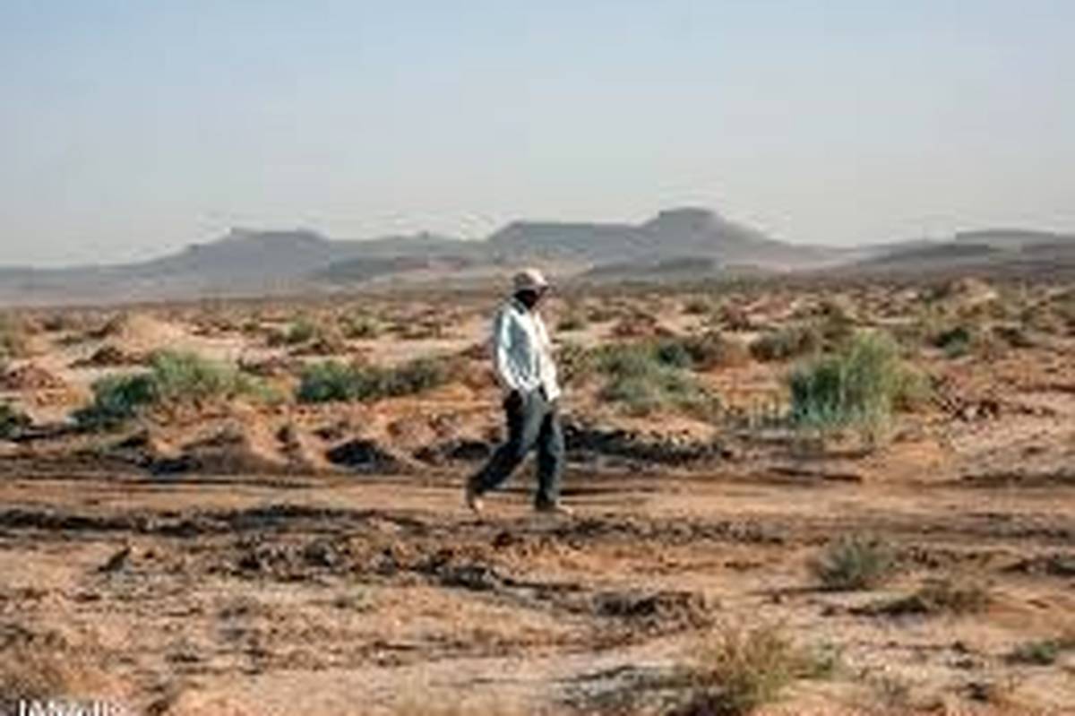 استان البرز در خط مقدم پیشگیری از بیابانزایی است