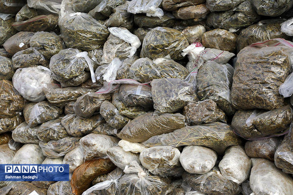 امحای ۲۰ تن مواد مخدر