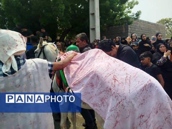 مراسم عزاداری روز عاشورا در میناب