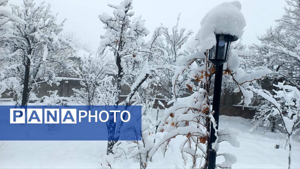 بارش برف در ارتفاعات شاندیز