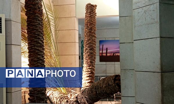 مرکز فرهنگی دفاع مقدس خرمشهر؛ قلب یادگارهای خونین نبرد