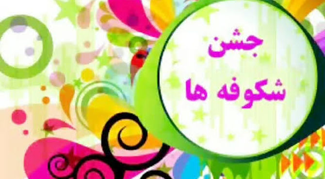 غنچه‌های دانایی در جشن شکوفه‌ها شکفتند