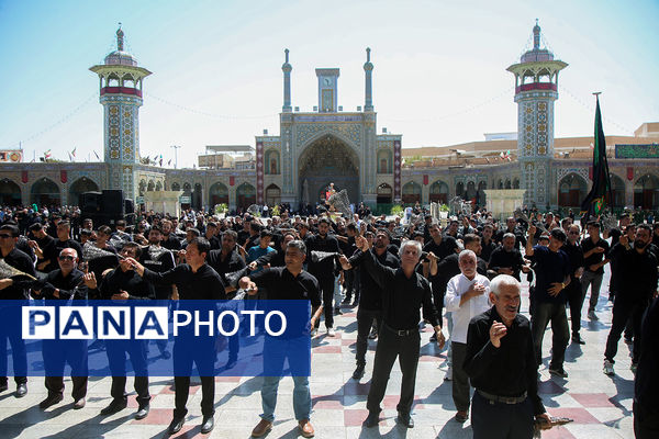 مراسم عزاداری  ۲۸ صفر در قم