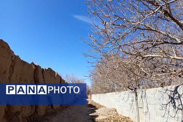 خزان زیبا در کوچه باغ‌های شهر بهمن