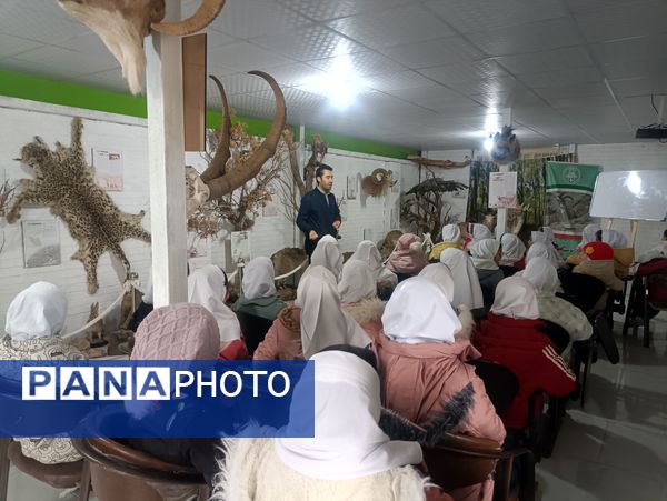 بازدید دبستان دخترانه شاهد۲ حضرت رقیه(س)، از موزه حیات وحش شیروان