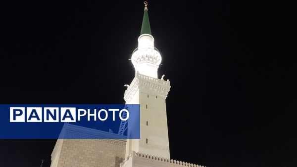 عطر آرامش در آستان پیامبر رحمت