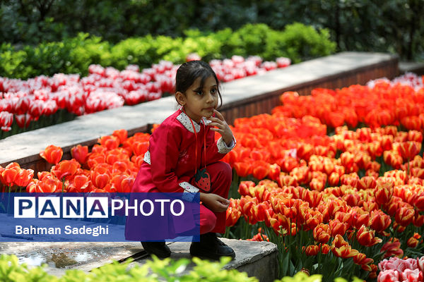 فصل لاله‌ها در بوستان باغ ایرانی