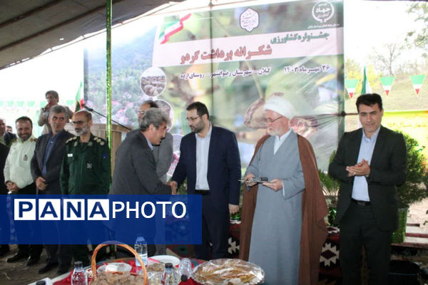 جشن شکر گزاری برداشت گردو 