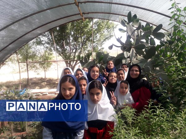 بازدید دانش‌آموزان مدرسه شهید خاقانی از گلخانه پیشه‌وران شیروان