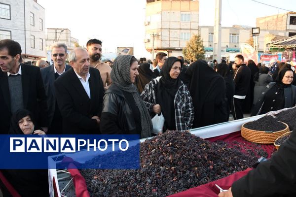 دومین جشنواره زرشک سیاه در روستای تیل شهرستان شبستر