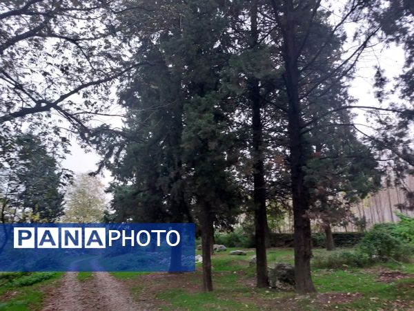 کردکوی، سرسبزترین شهرستان گلستان