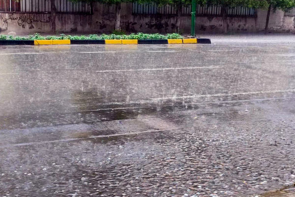 پیش‌بینی بارش در شرق و شمال‌شرق کشور؛ ثبت ۲۵ تا ۵۰ میلی‌متر بارندگی در برخی استان‌ها