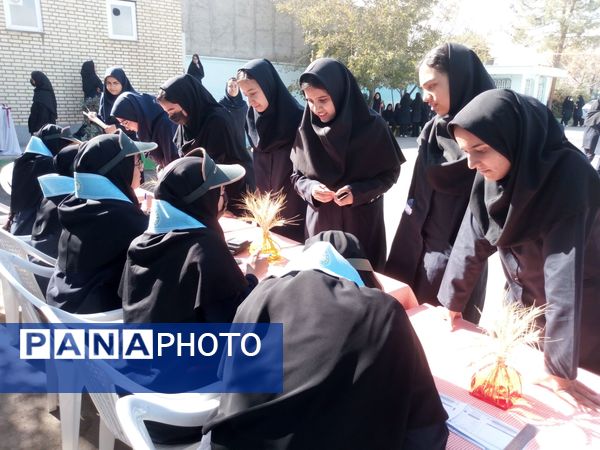 انتخابات شورای دانش آموزی در دبیرستان فاطمیه 