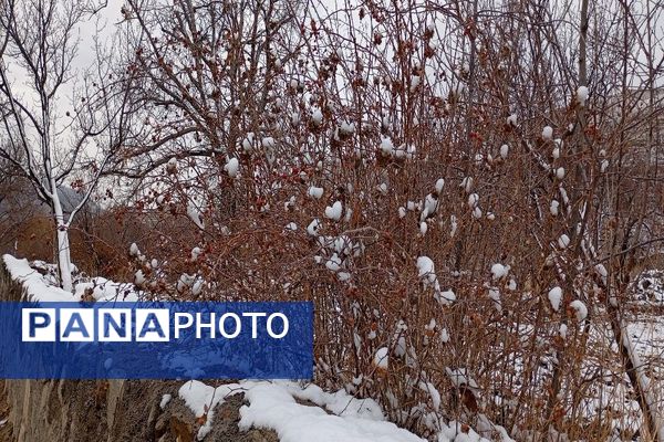 خودنمایی برف در شهر بار نیشابور