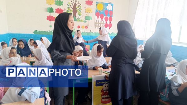 پویش مسواک خشک در مدرسه ضحی ۱ شهرستان شیروان