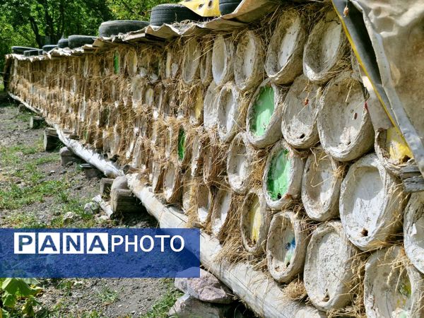 کندوها ؛ کارخانه های زنده طبیعت