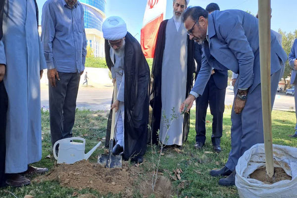 کاشت درخت زیتون در فلکه قدس بوشهر